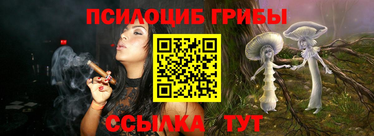 купить закладку  Псилоцибиновые грибы Psilocybe  Вход с VPN  Магадан 